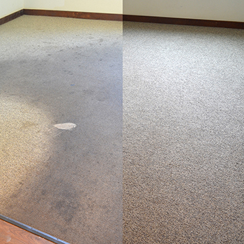 Carpet Cleaning Norwalk CT