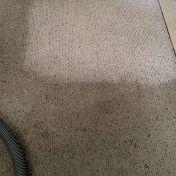 Carpet Cleaning Norwalk CT