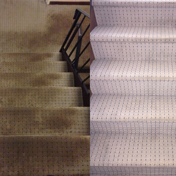 Carpet Cleaning Stamford CT