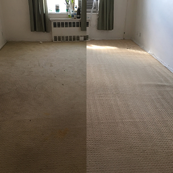 Carpet Cleaning Stamford CT