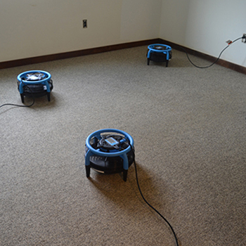 Carpet Cleaning - Weston CT